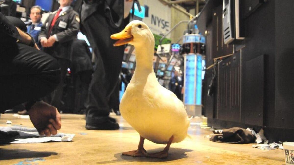 The Aflac duck, responsible for much of the Columbus-based insurance company’s branding success, makes an appearance on the floor of the New York Stock Exchange. --