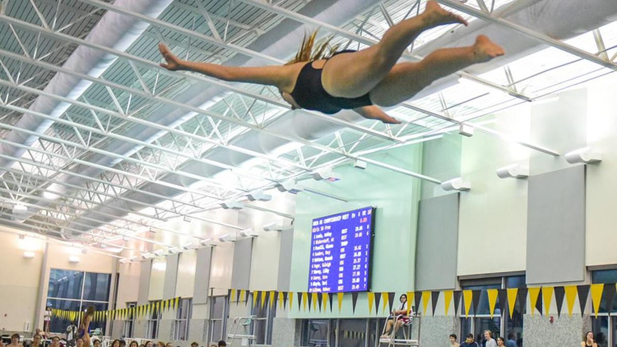 Spotted at the swimming and diving Regional Area Championships Meet, Tuesday January 22, 2019