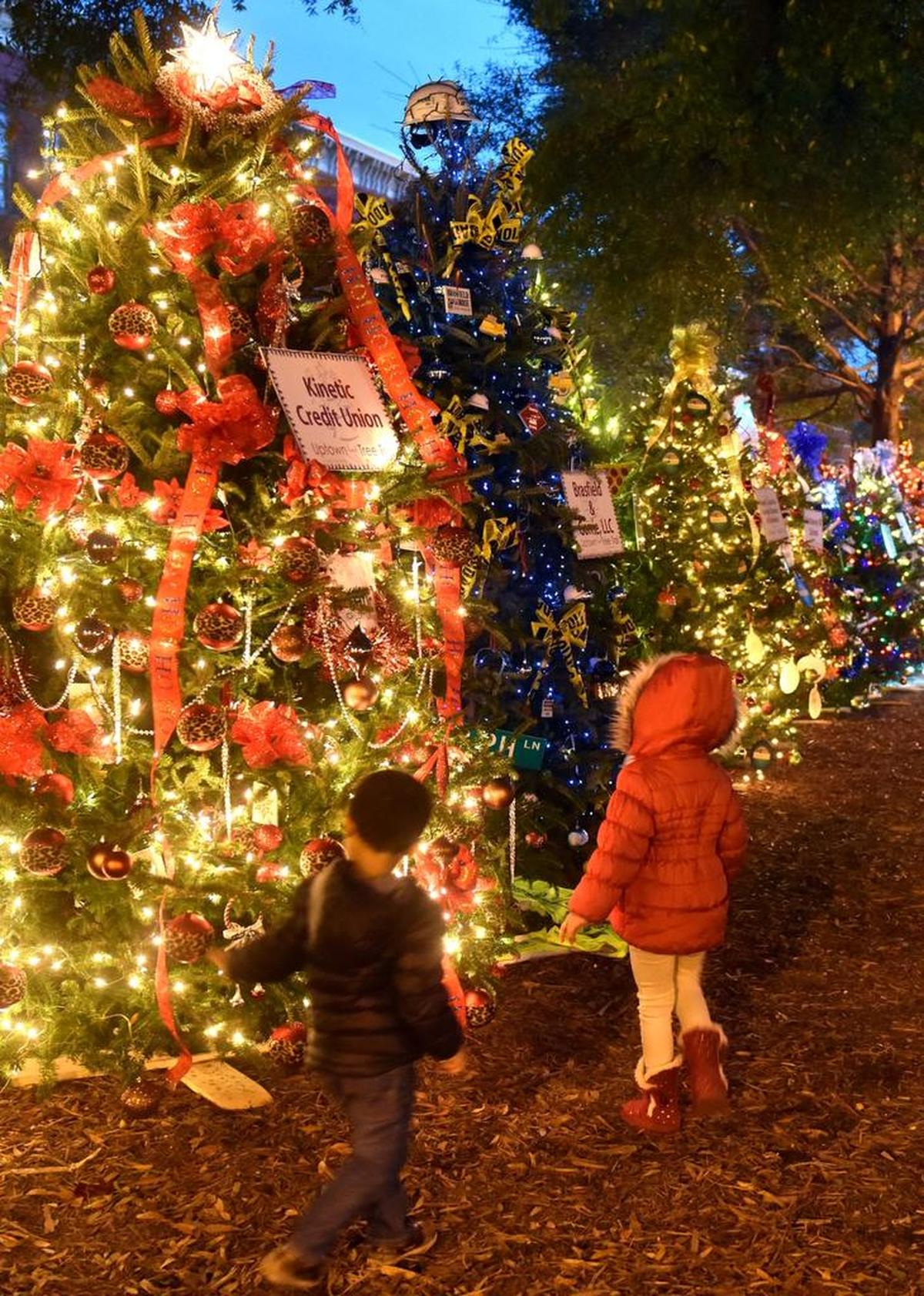 The Uptown Tree Trail drew admirers Friday.