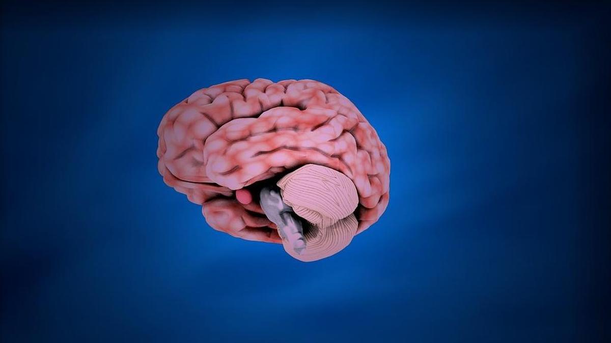 In February, NAMI will offer two free classes to those suffering or caring for someone suffering from mental illness