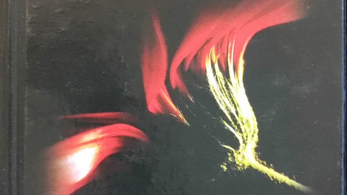 Last month, the Muscogee County School Board unanimously approved superintendent David Lewis’ recommendation to buy the programs called “Georgia Collections,” published by Houghton Mifflin Harcourt, and “Leveled Literacy Intervention,” published by Heinemann, for English language arts in grades 6-12, costing a total of $1,586,721. This image shows the ninth-grade student edition of the textbook.