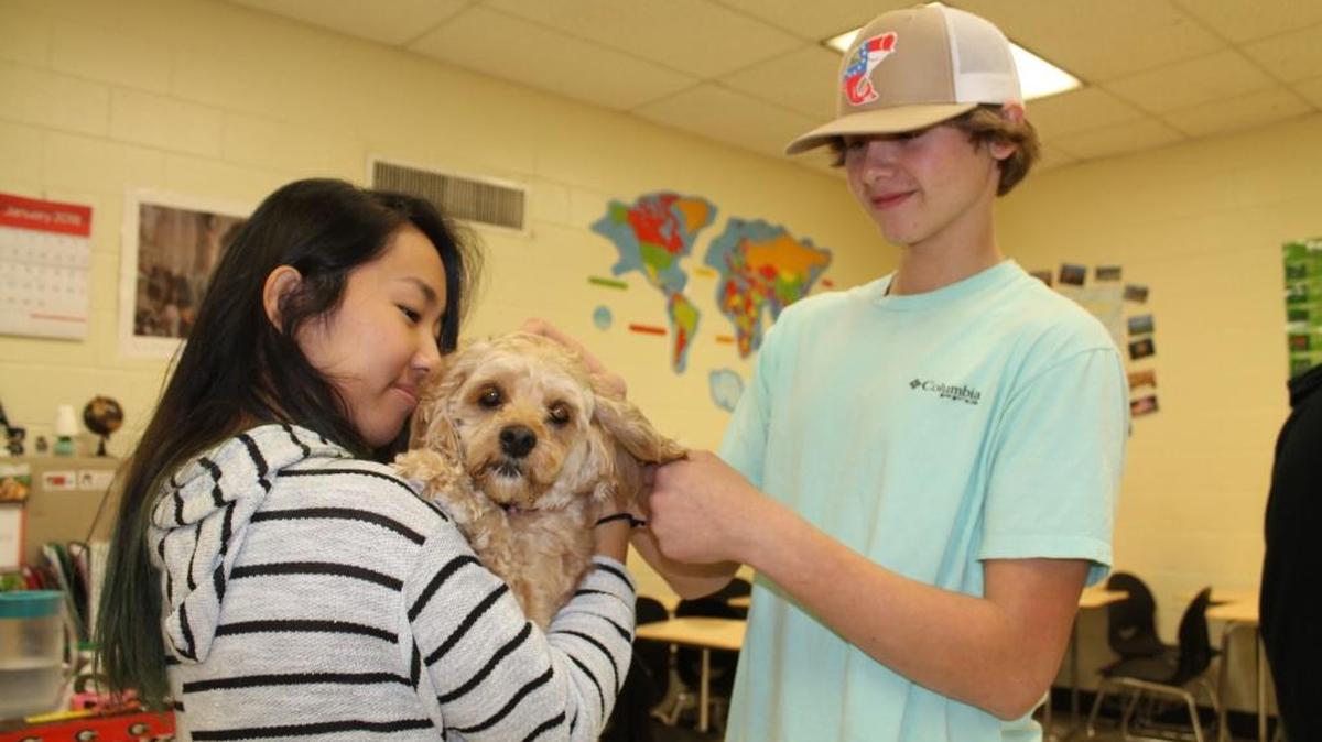 Troup High School sophomore Suzuna Kimura, left, cuddles one of the dogs in the “puppy de-stressing room” during the school’s “Winter Wonderland” day of creative activities earlier this month.