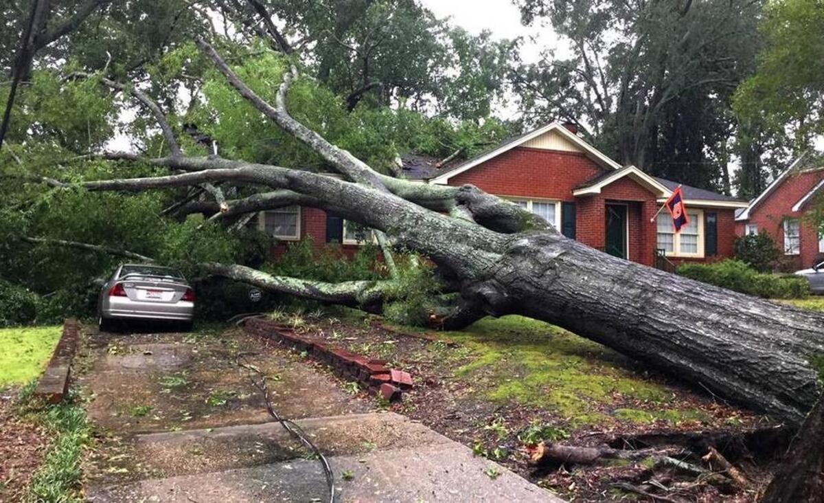 Monday's storm dropped a large tree onto this house at 1904 Shannon Drive, north of Columbus' Lakebottom Park