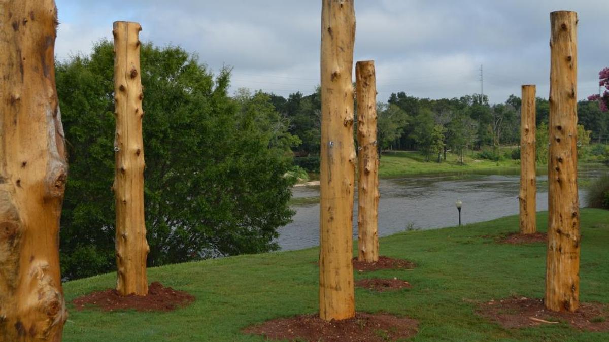 These poles can be used for setting up hammocks at Woodruff Park. Shade trees are expected to be planted later.