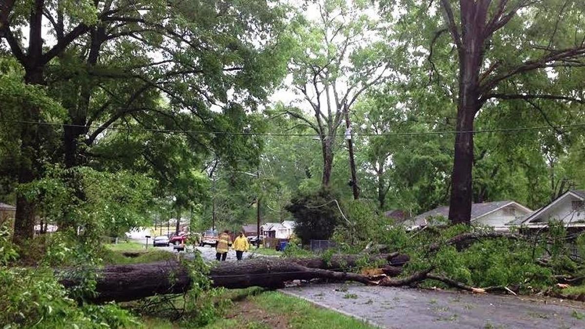 If a tree falls and hits your house, are you covered by insurance?