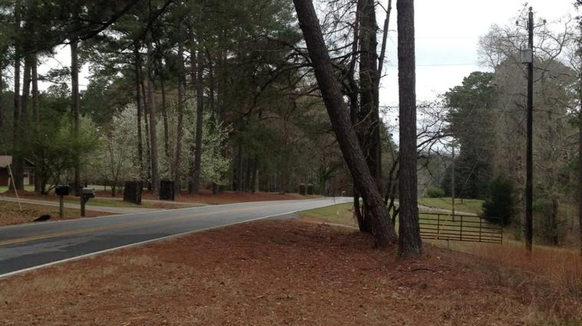 A city crew is taking down this leaning pine tree on Hubbard Road. It’s also weakened by canker disease causing more concerns for the city.
