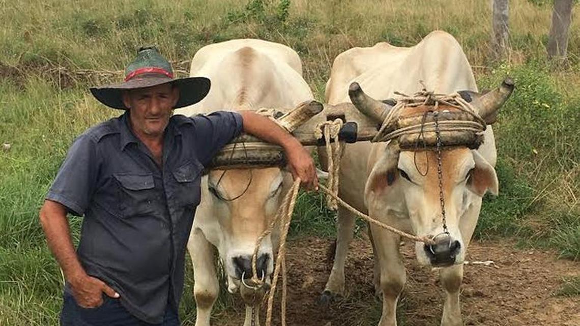 CSU administrator reflects on recent visit to Cuba