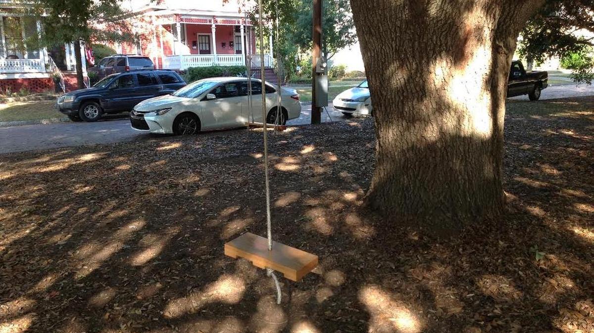 These two swings in the 500 block of Broadway violate the city tree ordinance and must come down, a city official says.