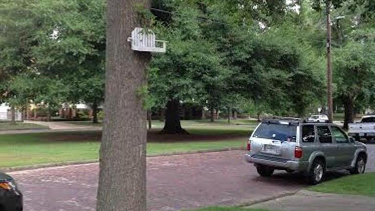 The squirrel feeder in the 600 block of Broadway was one of the items that drew the attention of a city tree ordinance inspector.