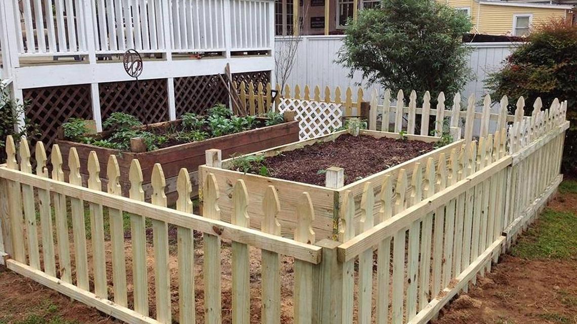 Back in the business of growing vegetables again