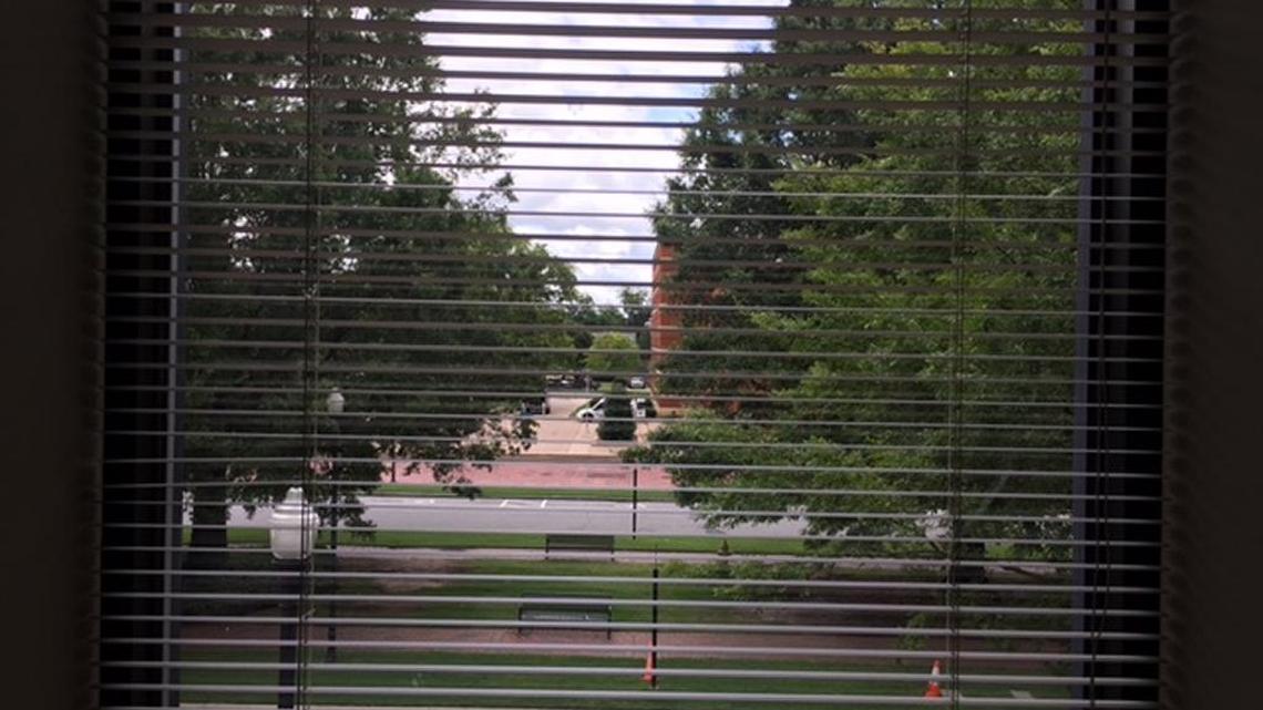 The art of looking at the world outside your office window