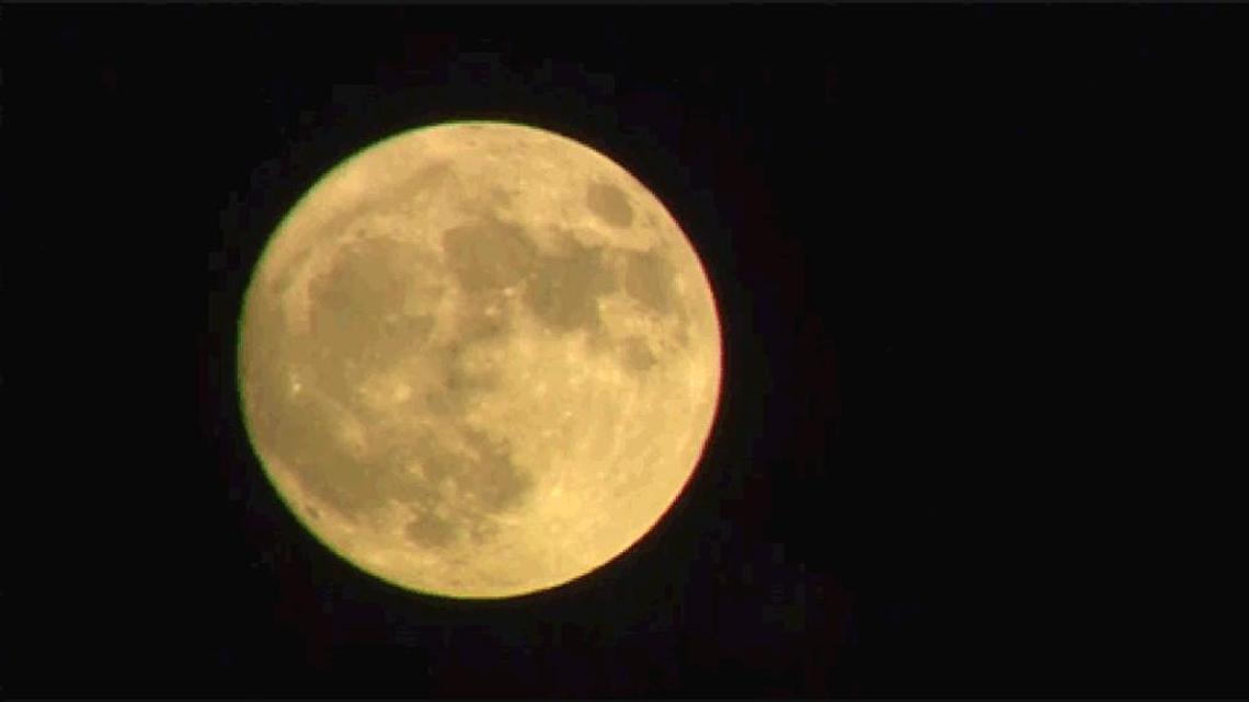 One theory to explain mysteries like Trump, the Cubs and cornbread dressing