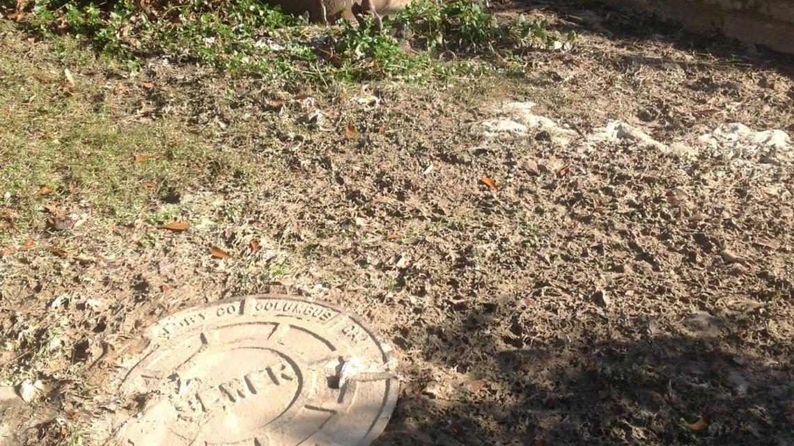 Woman who lives on Weracoba Creek finds herself up another famous creek