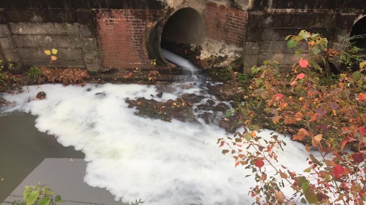A milky white substance flows out of a large stormwater drain pipe into Weracoba Creek near the Country Club of Columbus on Monday.