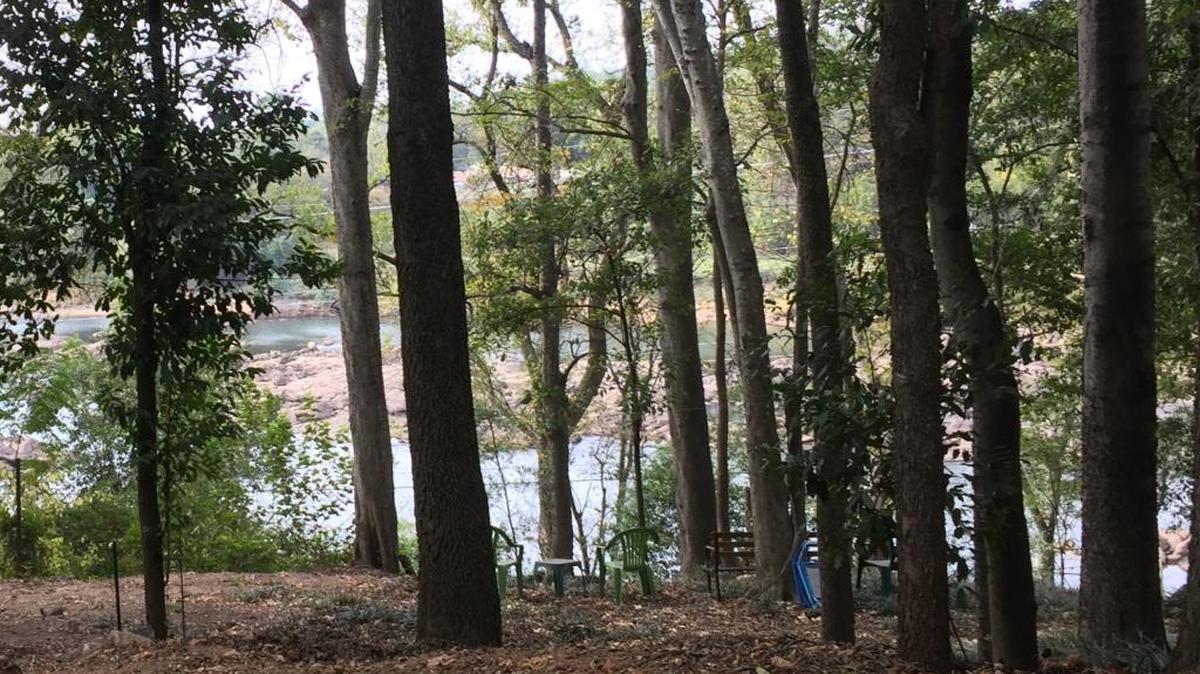 The view of the river from a prime City Village lot.