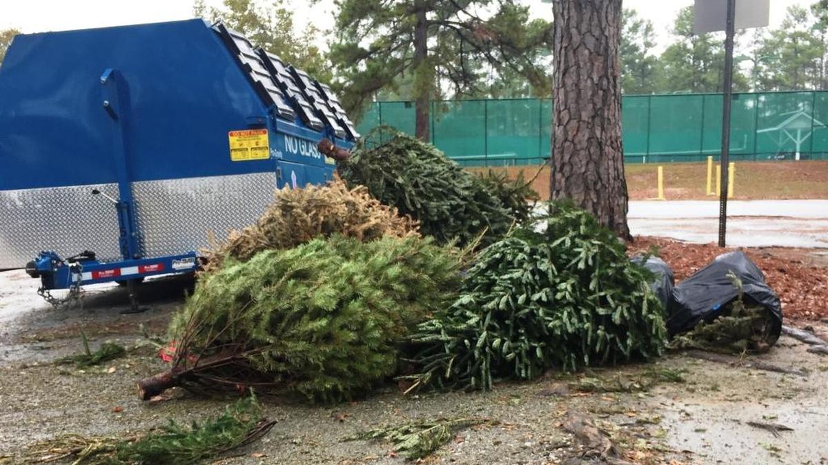 A few Christmas trees were at the recycling station at Cooper Creek Park on Friday.