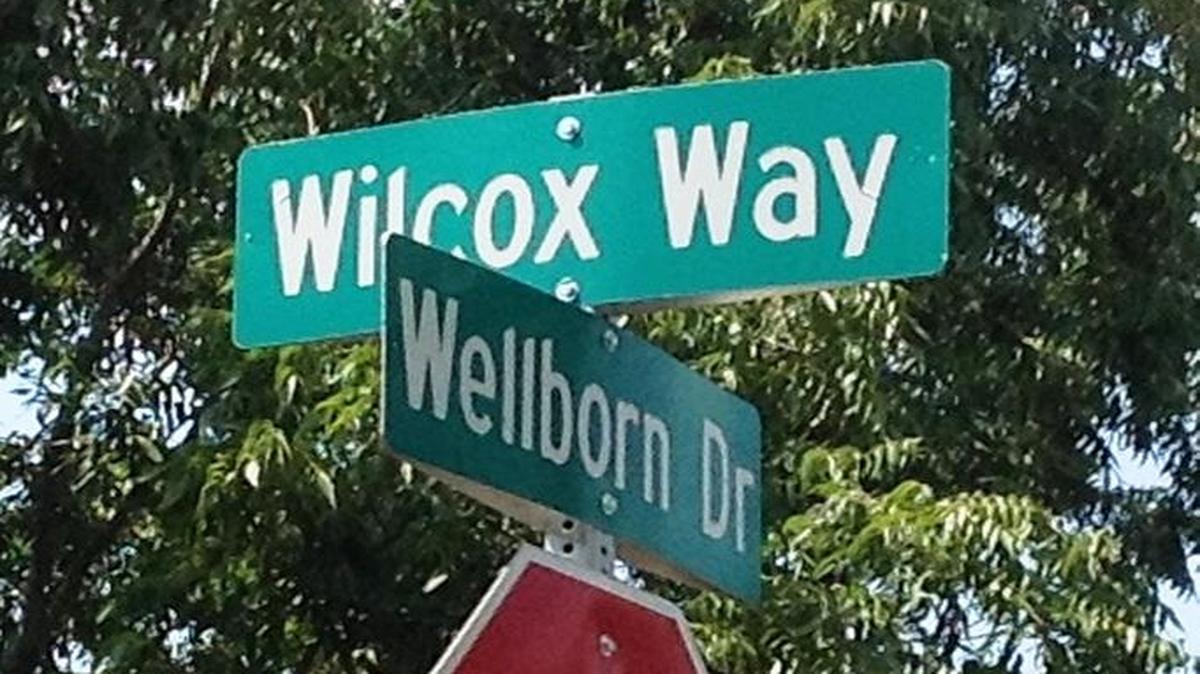 A family’s beloved pet cat was killed by a roaming pair of pit bulls recently on their own porch on Wilcox Way.