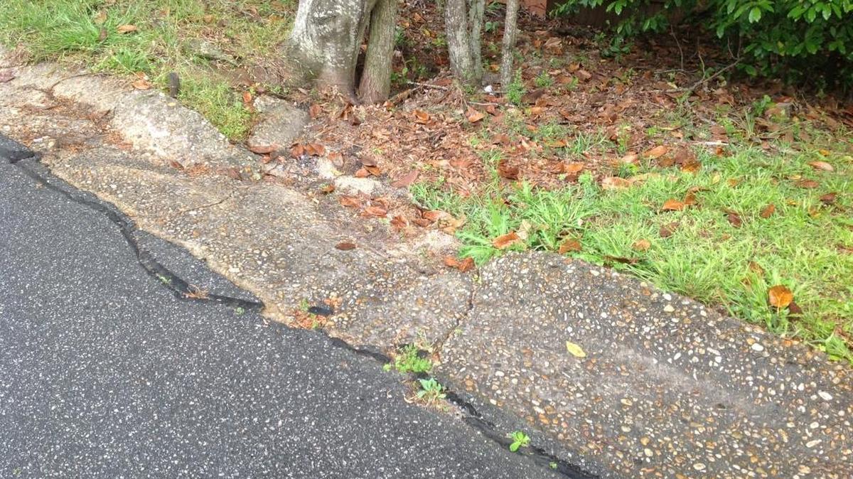This break in the curbing on Arrington Drive is channeling water into a homeowner’s crawlspace, she says.