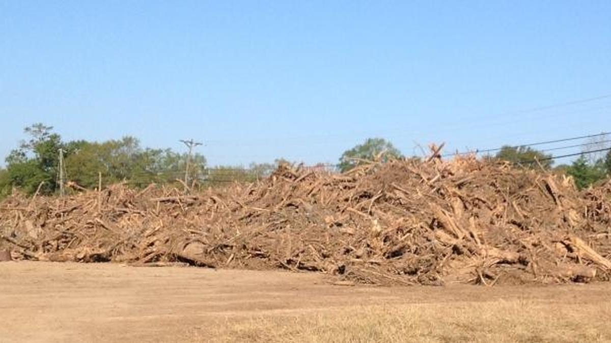 This large pile of debris isn’t breaking any laaws, the city says.