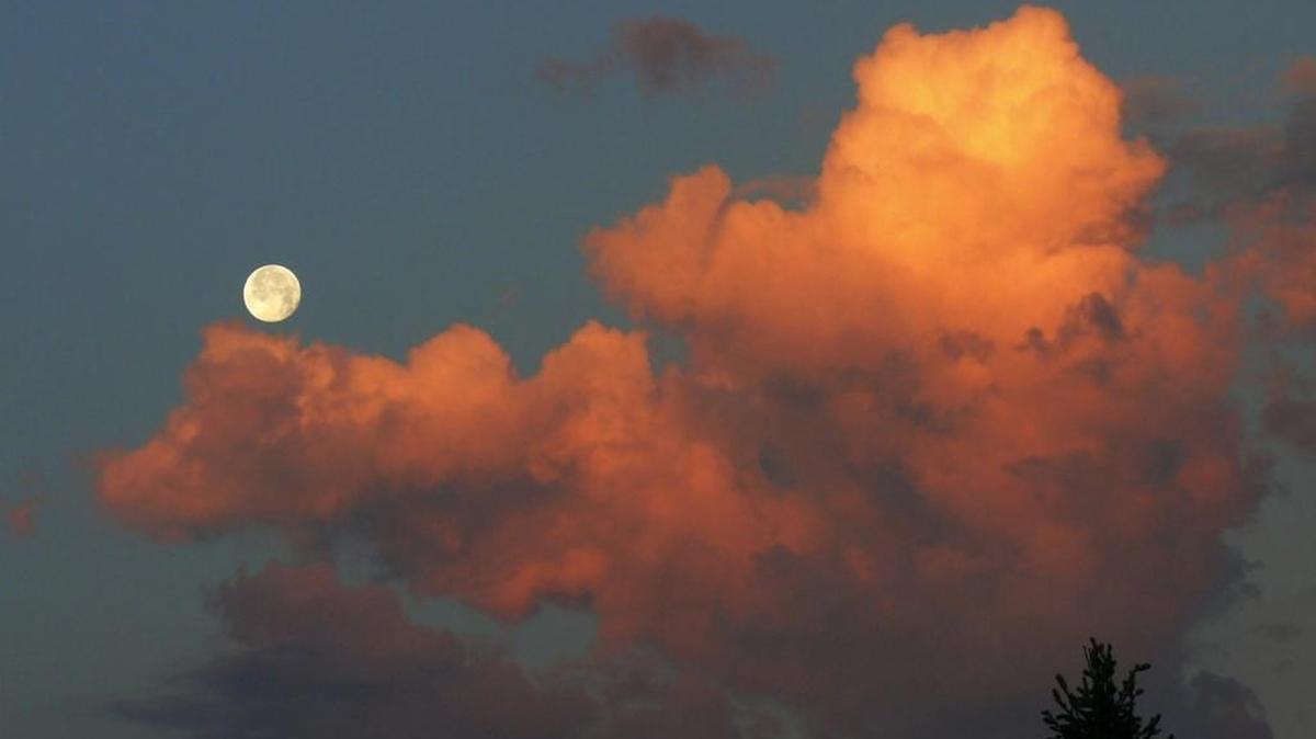 “A great sign appeared in heaven: a woman clothed with the sun, with the moon under her feet and a crown of twelve stars on her head,” reads Revelation 12.