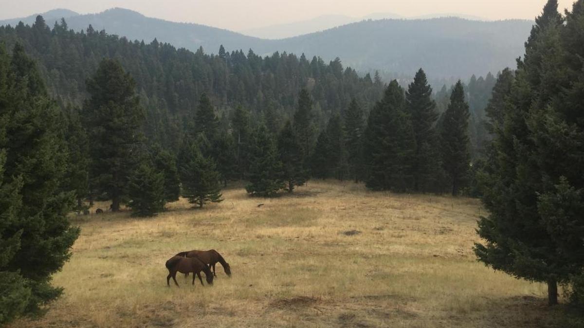 A smoky haze is a constant over the skies of Montana due to the wildfires raging farther west.