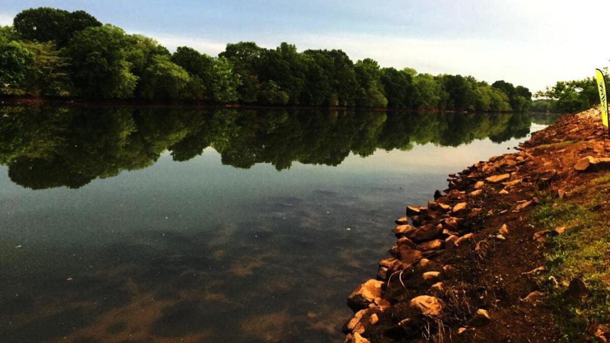 So don’t worry about alligators on the Chattahoochee River. Worry about everything else.