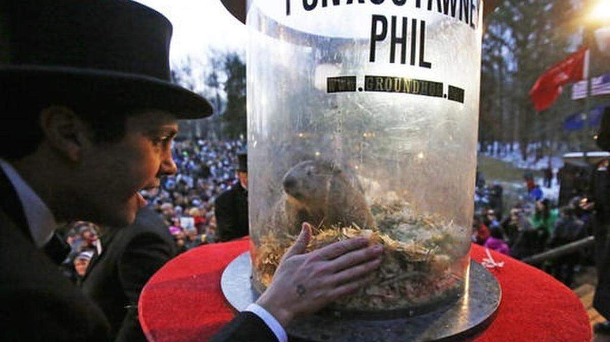 Groundhog Club inner circle member Dan McGinley, left, visits with Punxsutawney Phil, the weather prognosticating groundhog, during the 131st celebration of Groundhog Day on Gobbler's Knob in Punxsutawney, Pa., Thursday, Feb. 2, 2017. Phil's handlers said that the groundhog has forecast six more weeks of winter weather.