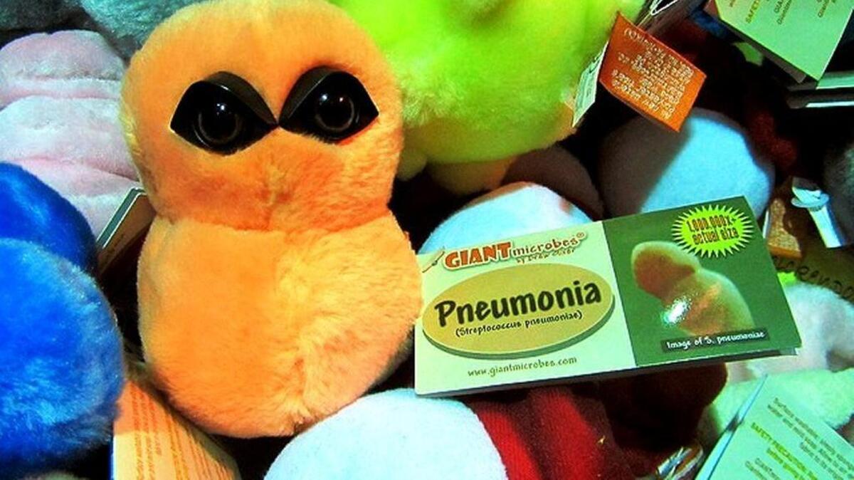 Sometimes you can get a disease by visiting a gift shop where GIANT Microbes are sold.