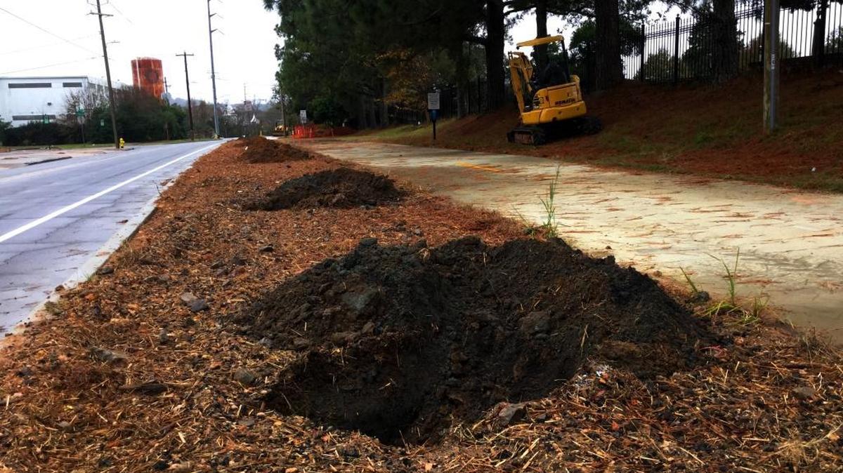 Workers used heavy equipment to dig holes for the tree planting Thursday along Columbus’ Linwood Boulevard by Linwood Cemetery.