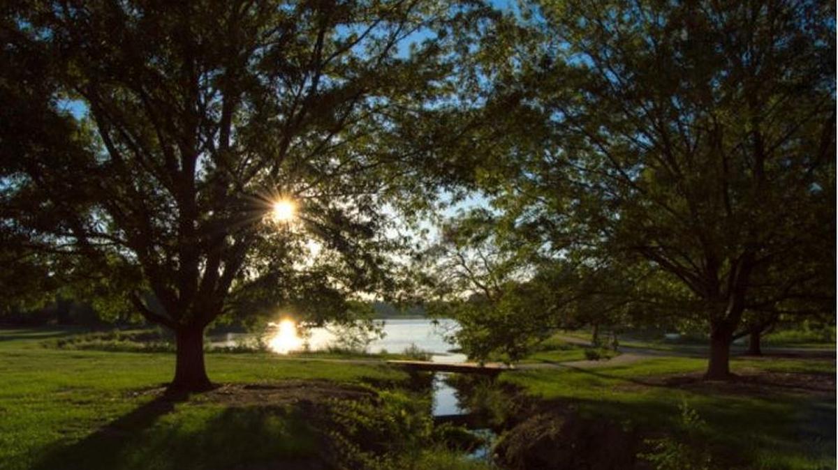 Cooper Creek Park in the late afternoon.