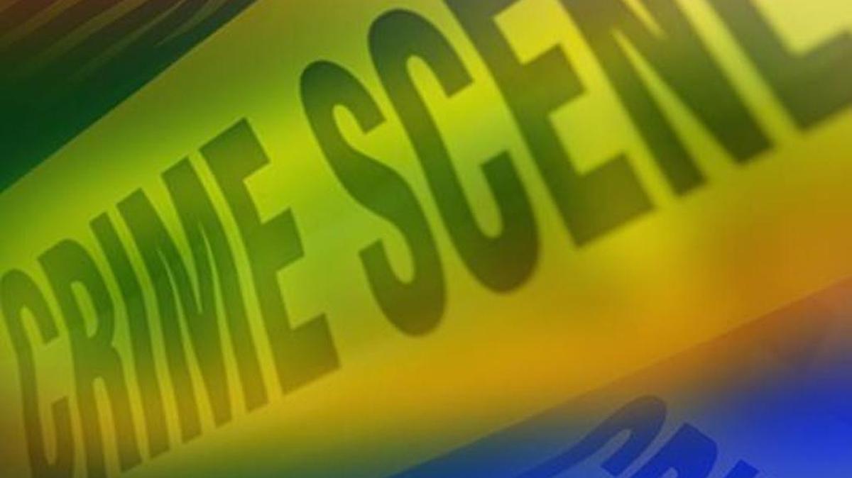 Two men were shot Sunday afternoon in LaGrange, one allegedly by his own brother.
