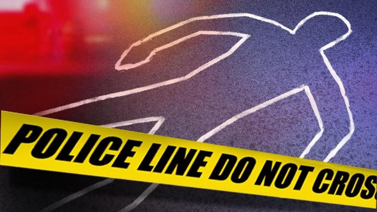 A 44-year-old Troup County man died Monday after being tazed by law enforcement, following an incident in which he apparently shot or stabbed his daughter.
