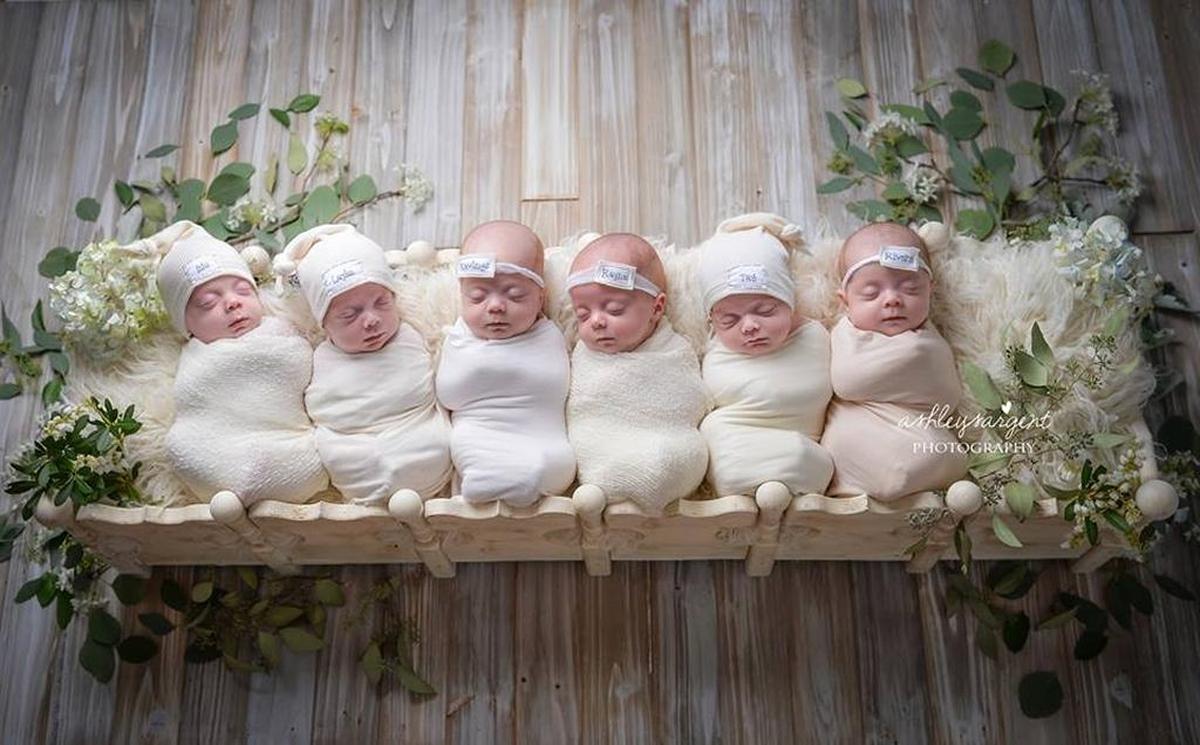 The sextuplets, home at last.