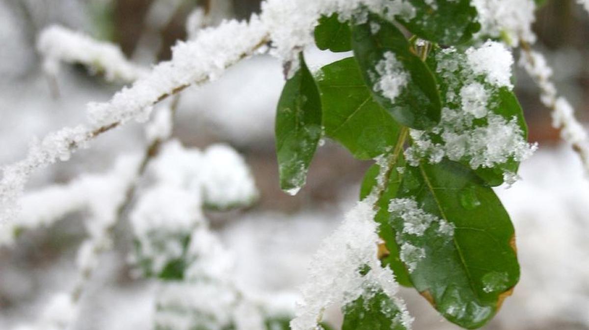 Snow, ice can cause damage