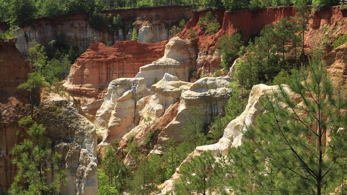 Spectacular Providence Canyon is near the town of Lumpkin in Stewart County, Georgia.