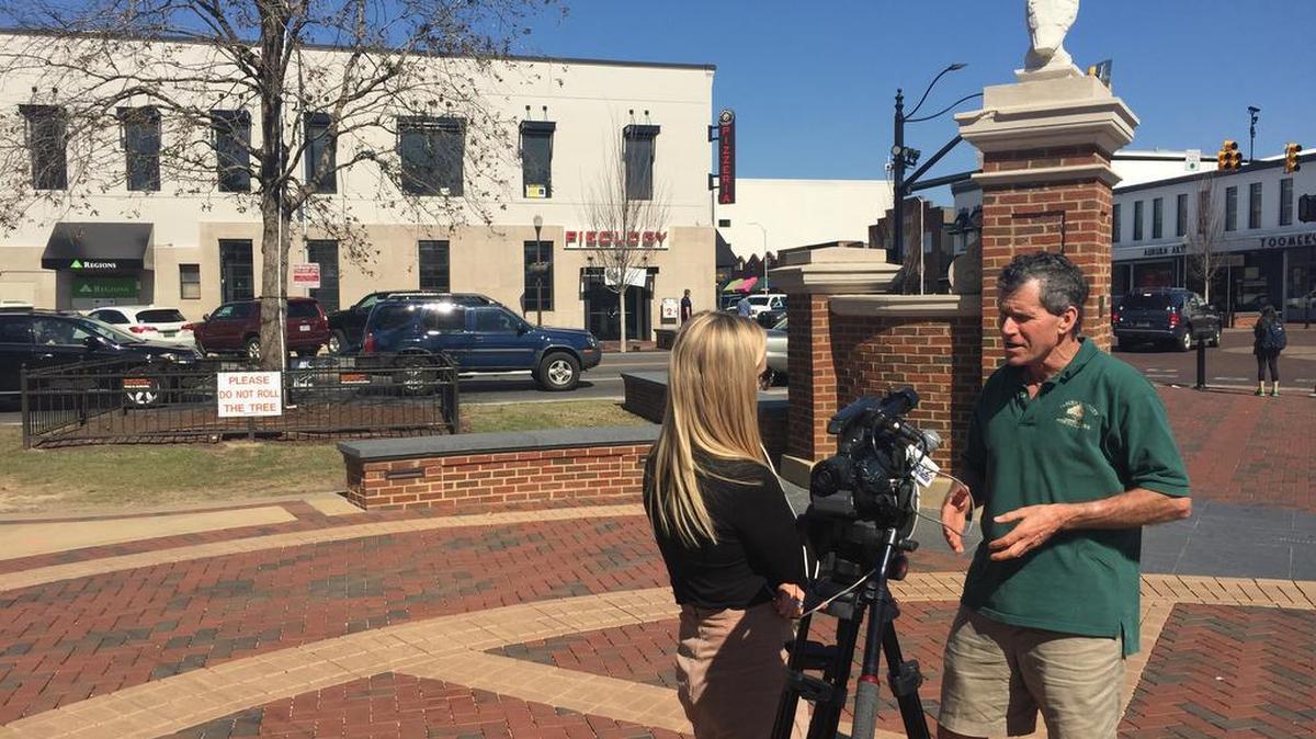 A local television reporter interviews Auburn horticulture professor Gary Keever, right, in front of the oak tree on Magnolia Avenue at Toomer's Corner Tuesday, Feb. 14, 2017.
