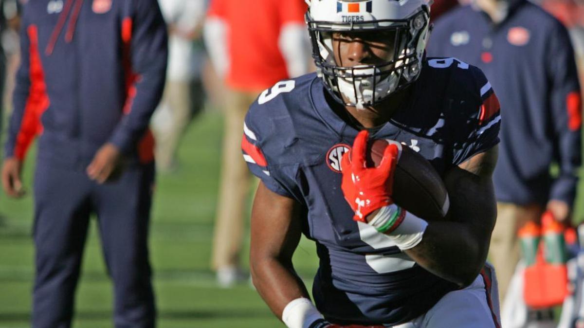 Auburn running back Kam Martin is one of the many true freshmen who played in 2016.