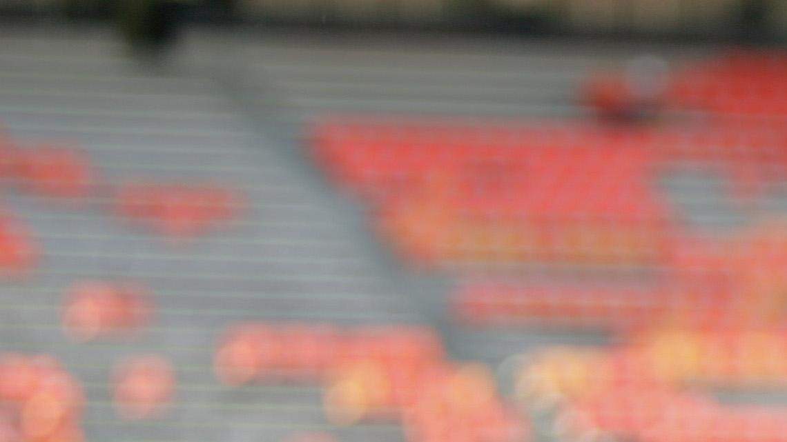 Auburn alum Cam Newton plays to the fans at Jordan-Hare Stadium Saturday, Nov. 28, 2015 before the Iron Bowl.