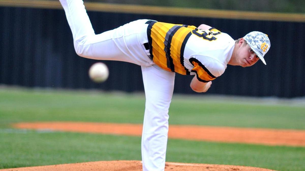 Harris County’s Rosh McKibben pitches in the first inning against Hardaway on Thursday.